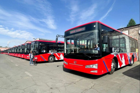 БНХАУ-аас авч буй 100 автобус Эрээний хил дээр иржээ