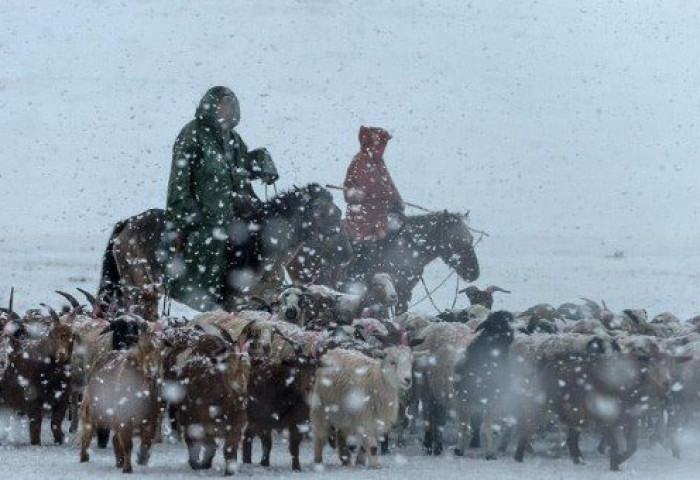 Энэ долоо хоногийн сүүлээр хүйтний эрч бага зэрэг СУЛАРНА