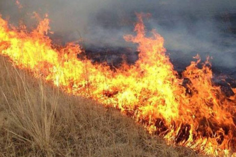 Дорнод аймагт гарсан түймэрт 35000 га талбай шатжээ