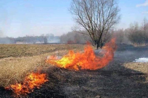 Хүний буруутай үйл ажиллагаанаас үүдэн ой хээрийнт түймэр гарсаар байна