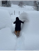Австрид 170 см зузаан цас оржээ