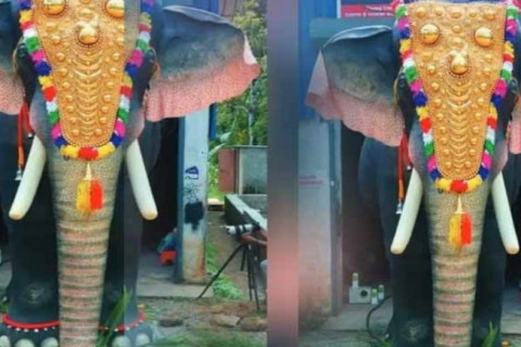 Энэтхэгийн сүмд робот заан ашиглажээ
